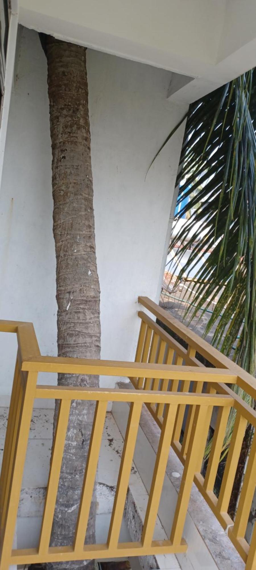 Prakash Holiday Inn Arambol Ngoại thất bức ảnh
